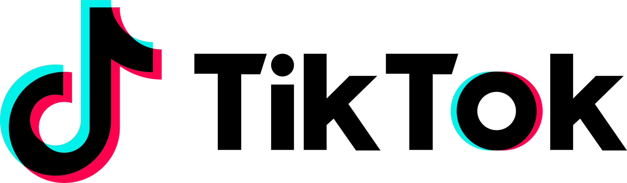 TikTok Business Partner